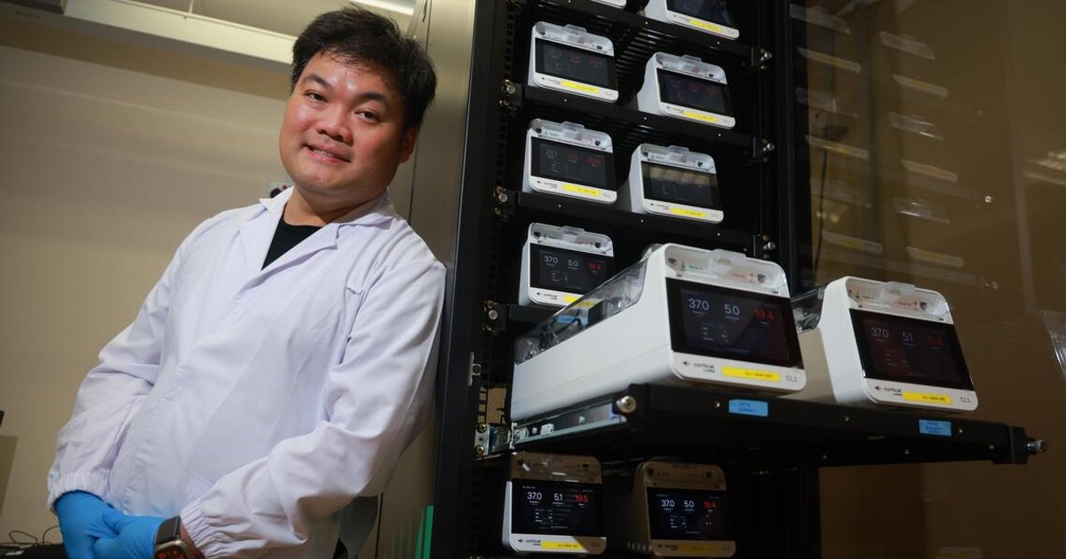 Forget silicon chip servers, Singapore’s newest data centre needs to be fed - The Straits Times