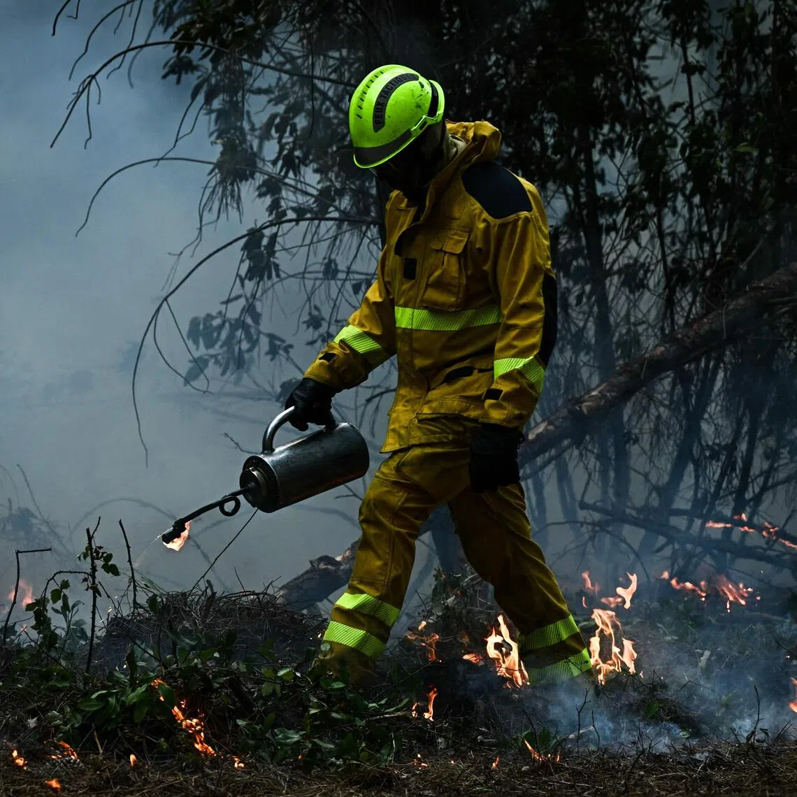 A firefighter using a metal drip torch to ignite controlled fires in a forest in Le Porge, north of the Arcachon Basin, on July 30, amid wildfires in the Gironde region of southwestern France.