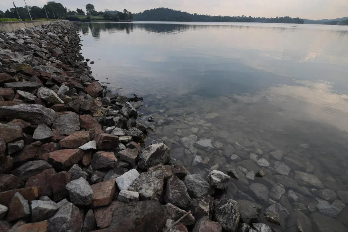 The writer connects the idea of the tap water to the sky, land, and reservoirs of Singapore. This is Upper Peirce Reservoir as seen in 2019. 