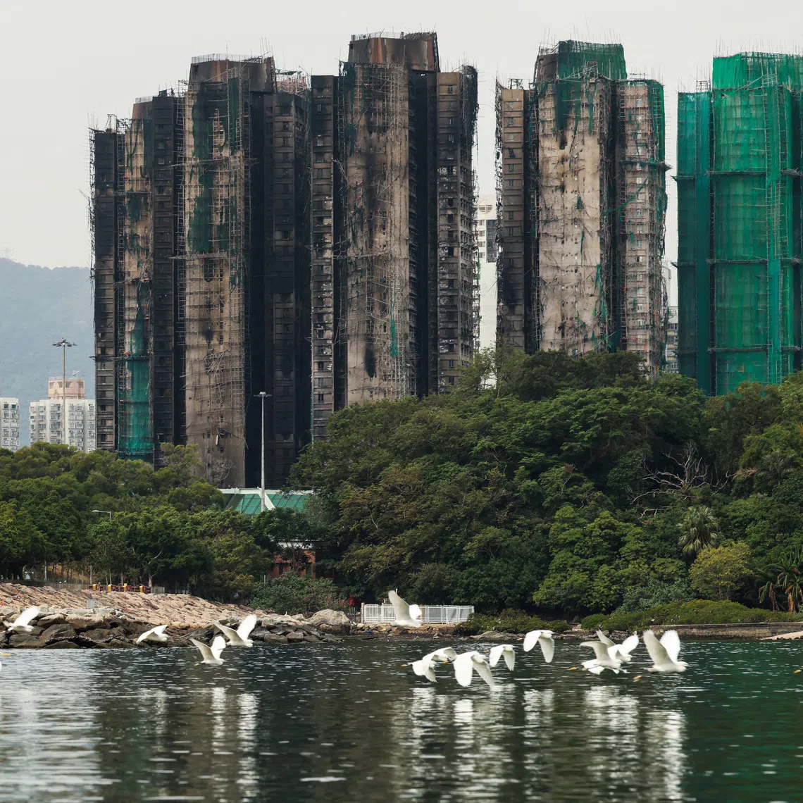 More than 200 foreign domestic workers, mostly from the Philippines and Indonesia, were living in the Wang Fuk Court housing complex.