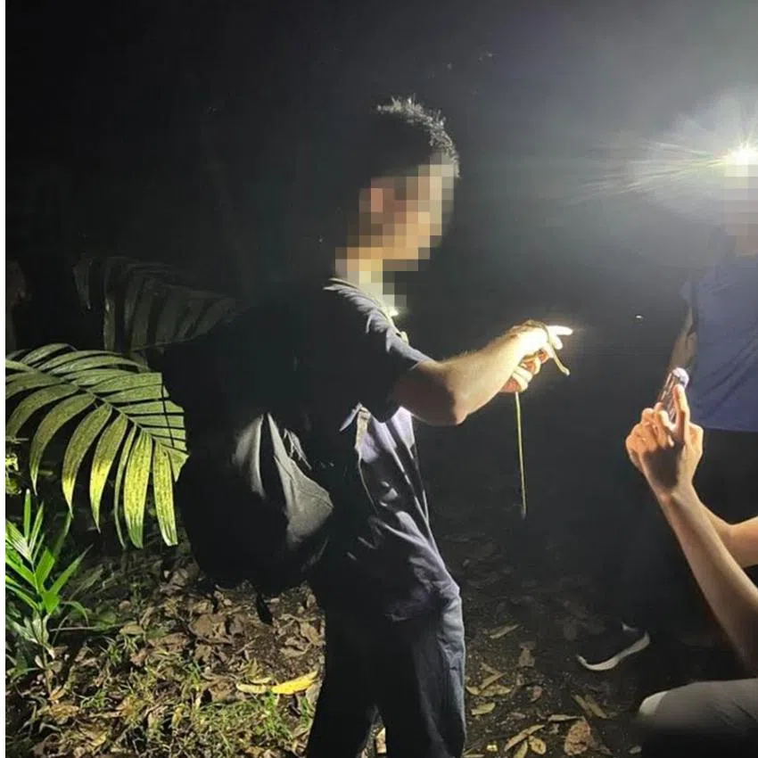 The National Parks Board is investigating how a snake was handled on the Mandai Trail.