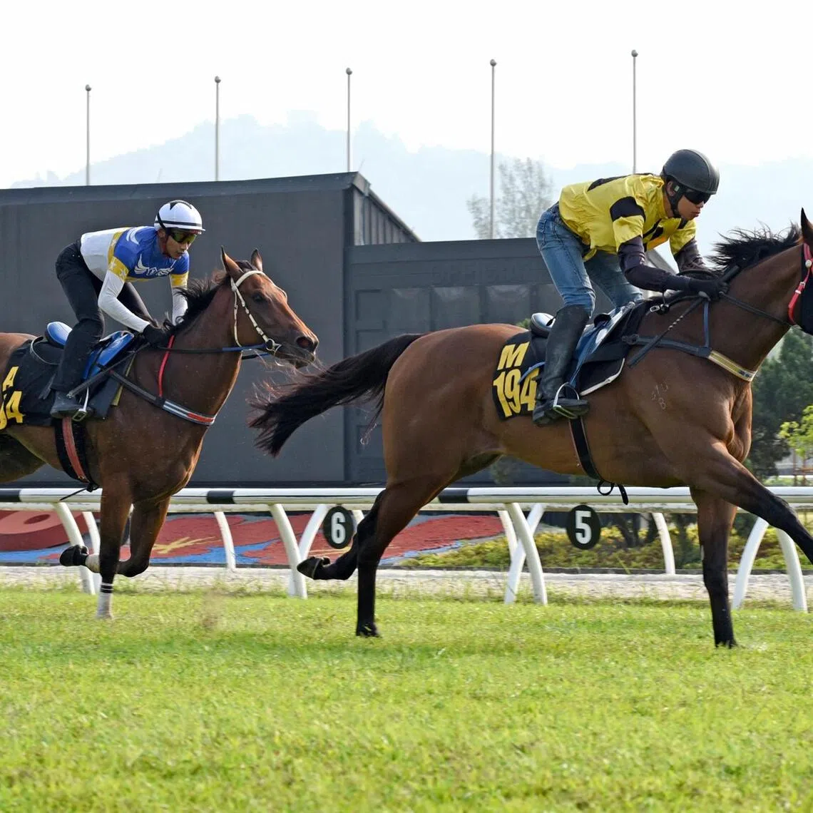 bmtrials03 - Mega Khan
PHOTO: SELANGOR TURF CLUB