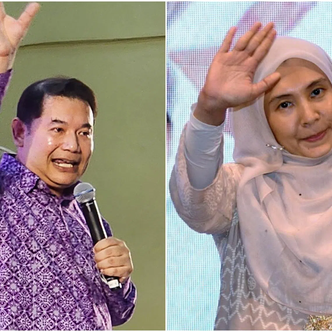 Economy Minister Rafizi Ramli, and PKR vice-president Nurul Izzah Anwar, have embarked on separate nationwide tours to whip up grassroots support.