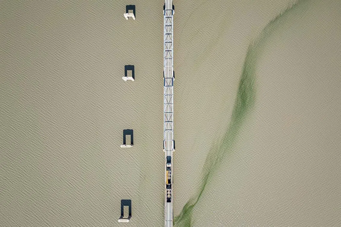 Green algae in the Wilge River in Oranjeville, South Africa, on April 17, 2024.