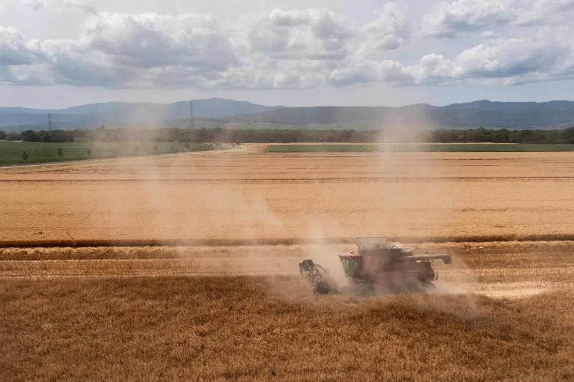 Cereal prices have gone down as harvests of barley from farms like this one in France pick up.