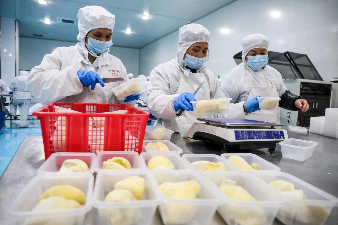 Workers package frozen durian at a food factory in Hangzhou, in China's eastern Zhejiang province.