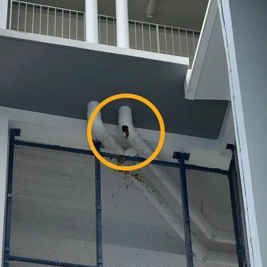 The Jalan Besar Town Council was informed of the pipe burst at Block 1B Kempas Road, at about 8.30am on Jan 21.