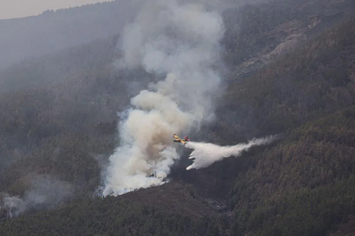 FILE PHOTO: A firefighter plane discharges water over Guimar, as wildfires rage out of control on the island of Tenerife, Canary Islands, Spain August 22, 2023. REUTERS/Nacho Doce/File Photo