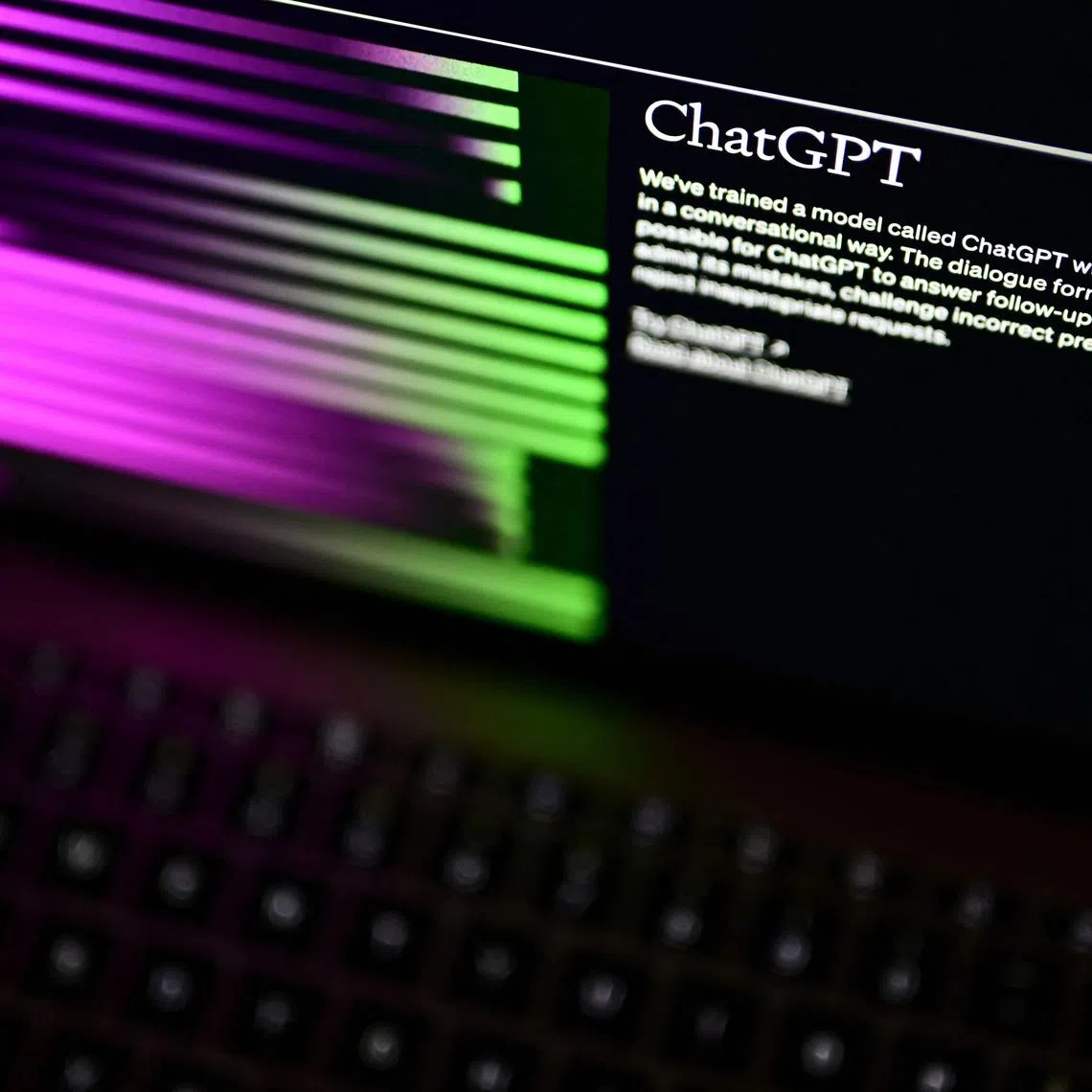 A computer screen with the home page of the artificial intelligence OpenAI website, displaying its chatGPT robot. 