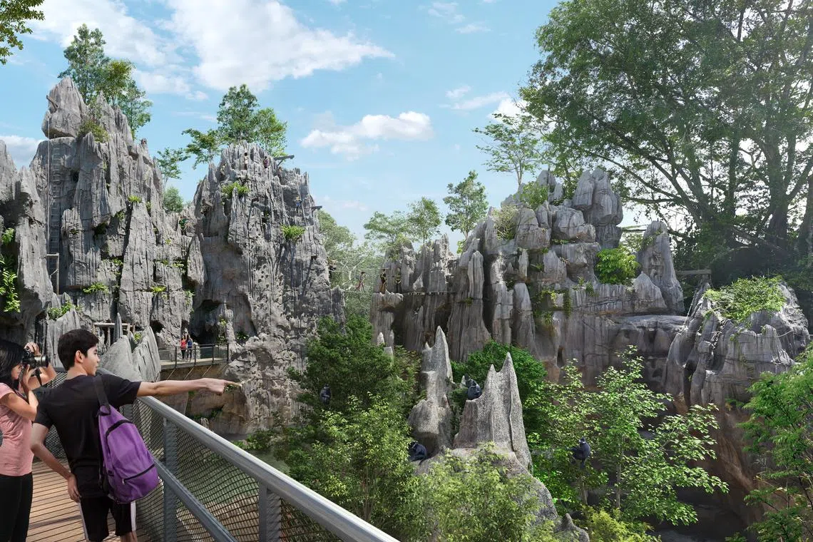 The Karsts offer different vantage points from which visitors can spot the François langurs.