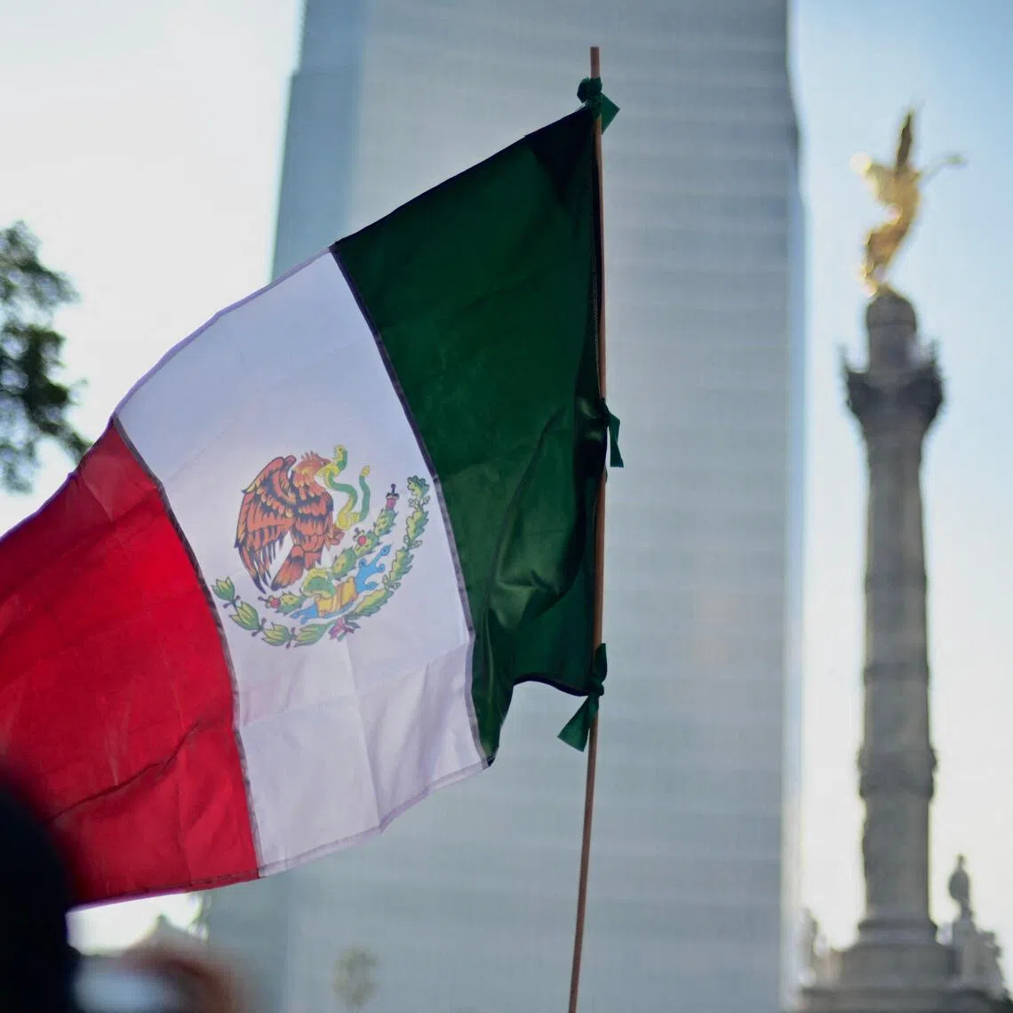 Nancy Napoles, the municipal president of Tenancingo, several hours outside Mexico City, has proclaimed her innocence, calling the accusations “politicised”.