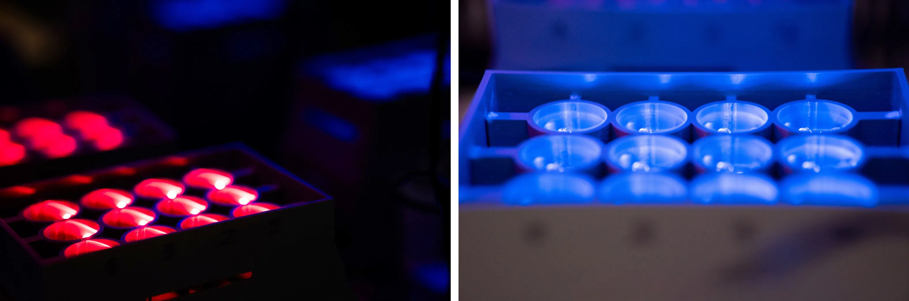 The researchers came up with a solution where y-iLight was fused to protein modules designed to block its activity specifically under blue light.