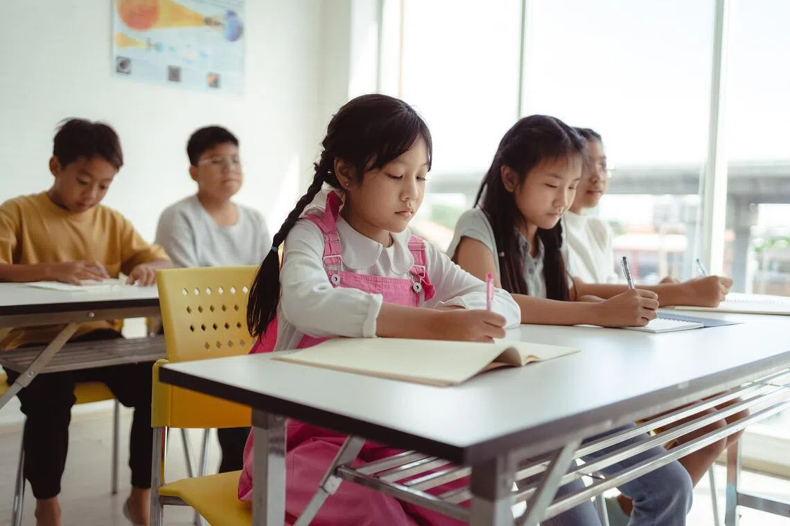 PSLE bootcamps have become a fixture in Singapore's tuition landscape. These intensive revision crash courses typically claim to help students hone exam techniques for the PSLE and plug gaps in their academic learning.  