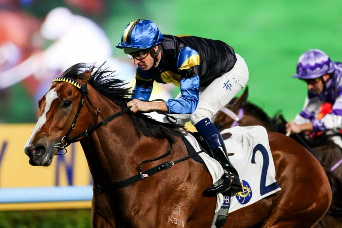 Infinite Resolve (Hugh Bowman) at his only win in the Class 3 Cha Kwo Ling Handicap (1,200m) at Sha Tin on New Year's Day. French jockey Alexis Badel will partner the Mark Newnham-trained son of Snitzel in the Hong Kong Classic Mile (1,600m) for four-year-olds at Sha Tin on Feb 1.