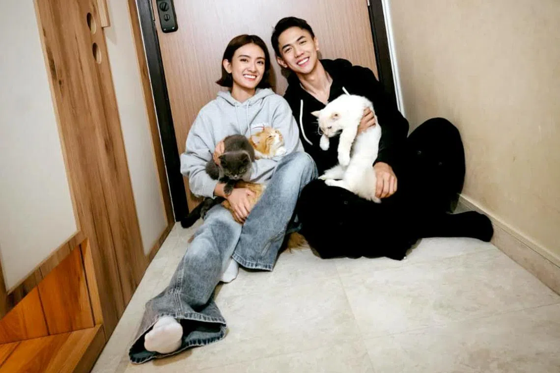 Hong Ling and Nick Teo with their three fur kids, (from right) Zhaocai, Jinbao and Eve.