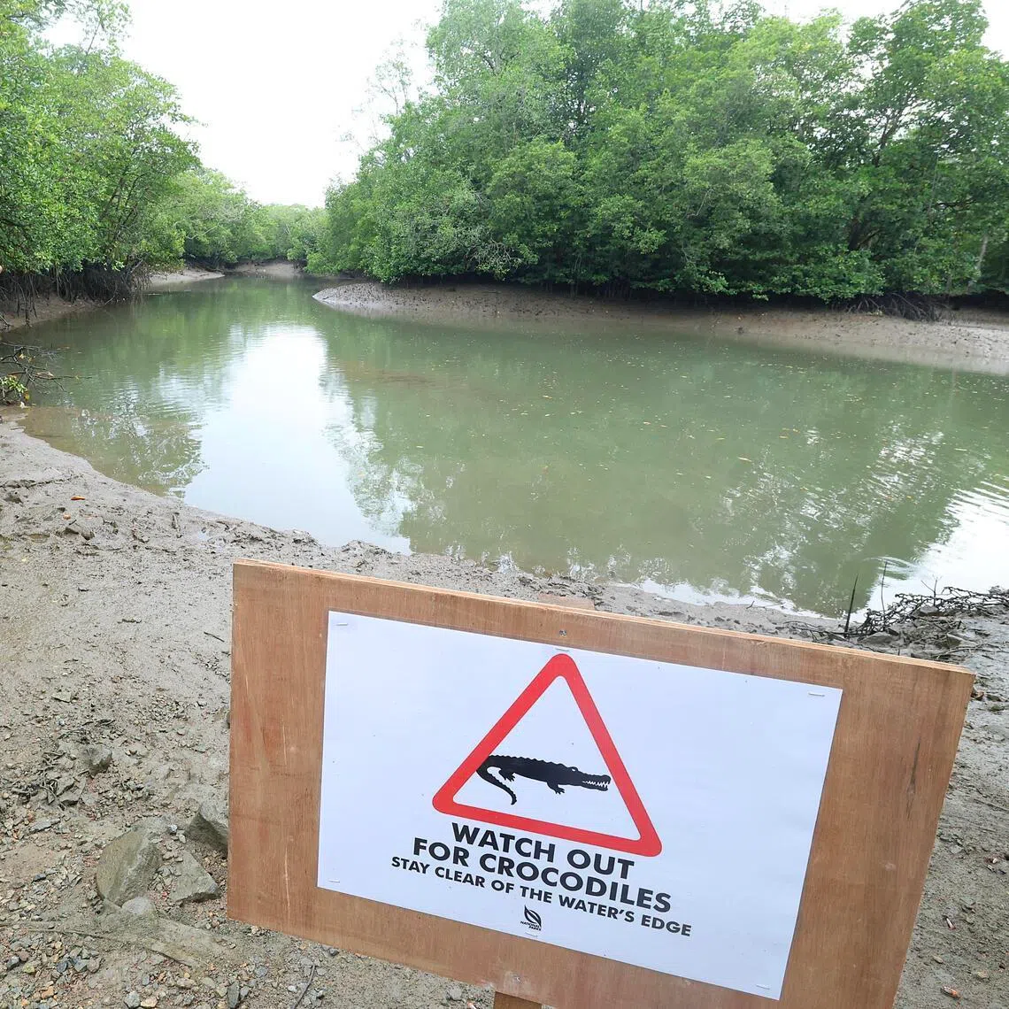 Signs warning members of the public about crocodile sightings have been put up around Pulau Ubin.