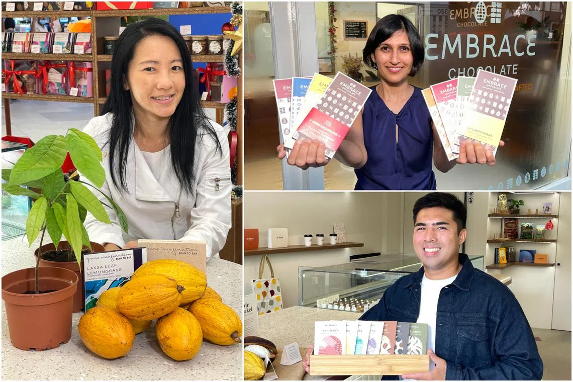 Clockwise from top right: Ms Namita Gupta, founder and owner of Embrace Chocolate, Mr Jerome Penafort, founder and chief executive of Mr Bucket Chocolaterie and chef artist Janice Wong of Janice Wong Pure Imagination.