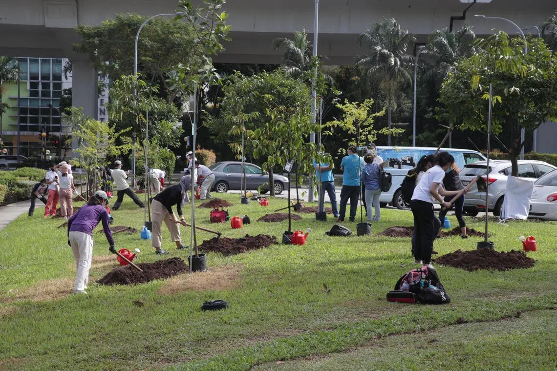A file photo of members of Youth Corps Singapore and Pasir Panjang residents planting trees at Pasir Panjang Park on Sept 4, 2021.