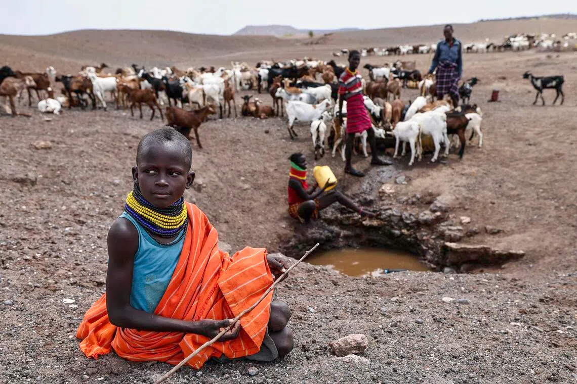Drought in Kenya is creating food insecurity and water scarcity, highlighting an urgent need for more aid.
