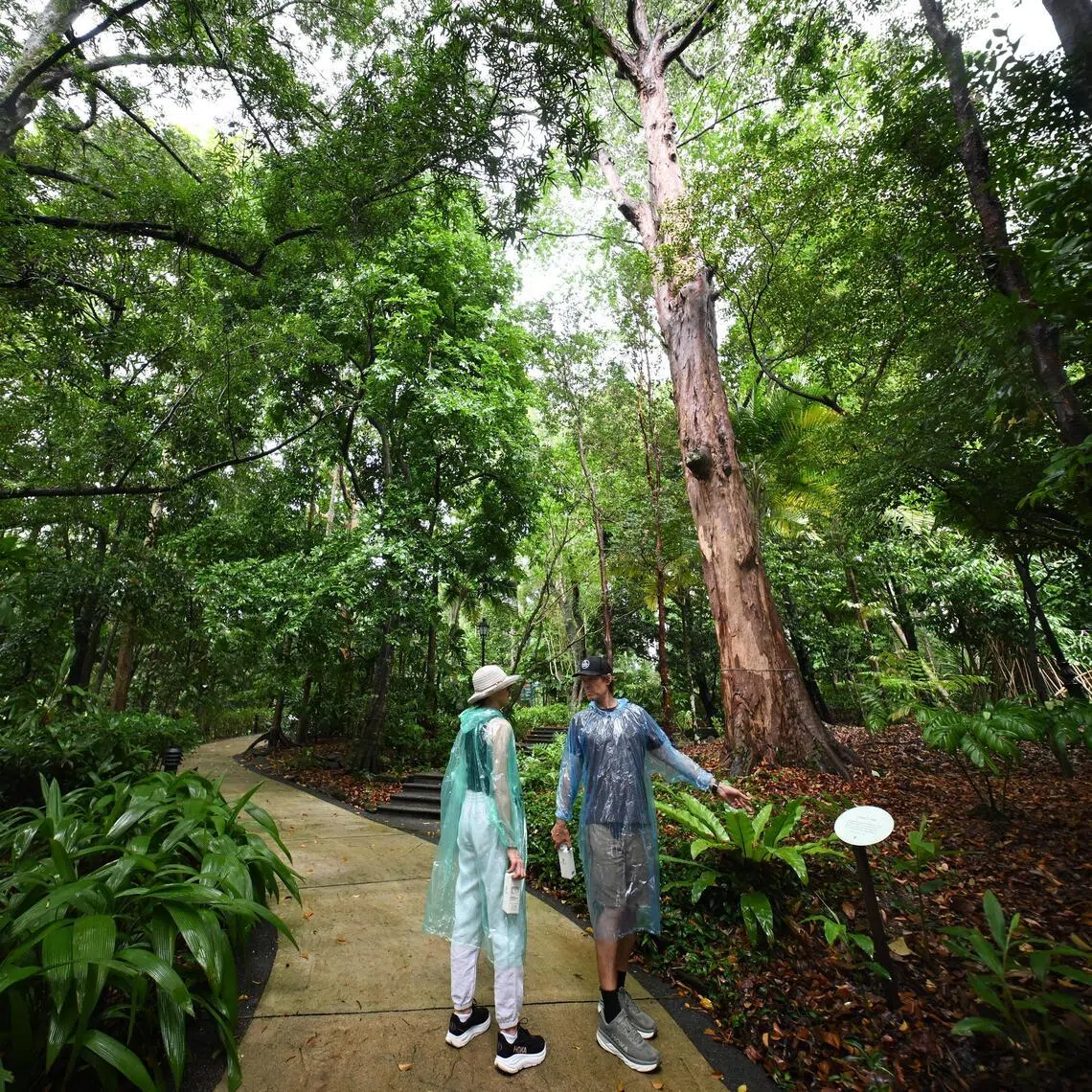 Visitors standing next to a “Choose a Tree” prompt on the Nature Immersion Trail at Saraca Stream on June 11.