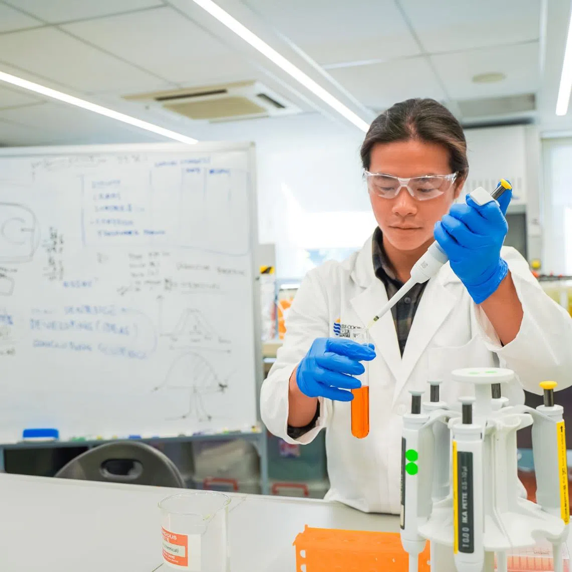 Mr John Chua (pictured) gained valuable insights into how environmental systems interact and influence one another through the aquaculture programme at James Cook University.
