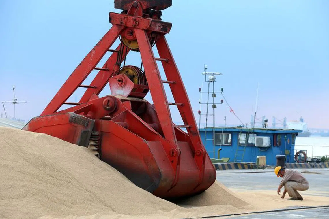 FILE PHOTO: Imported soybeans are transported at a port in Nantong, Jiangsu province, China August 6, 2018. REUTERS/Stringer