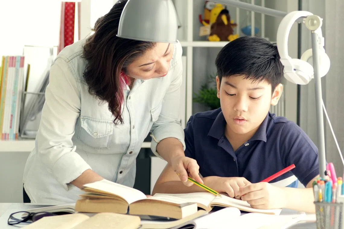 Work together with your Primary 6 child on what he needs after the mid-year exam.
