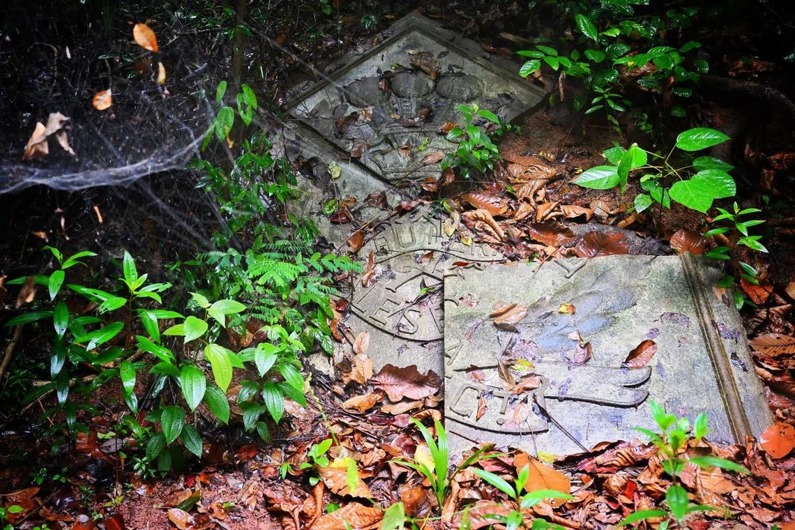 A large concrete insignia of the Middlesex Regiment