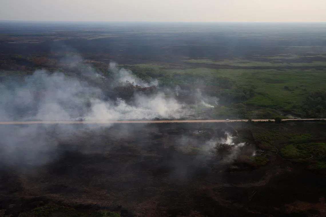FILE PHOTO: Cars of ICMBio (Chico Mendes Institute for Biodiversity Conservation) and IBAMA (Brazilian Institute for the Environment and Renewable Natural Resources) are seen near a fire in the Pantanal, the world's largest wetland, in Pocone, Mato Grosso state, Brazil November 21, 2023. REUTERS/Amanda Perobelli/File Photo