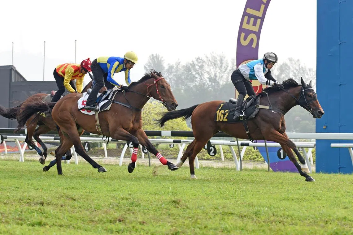 Lucky Mega
PHOTO: SELANGOR TURF CLUB