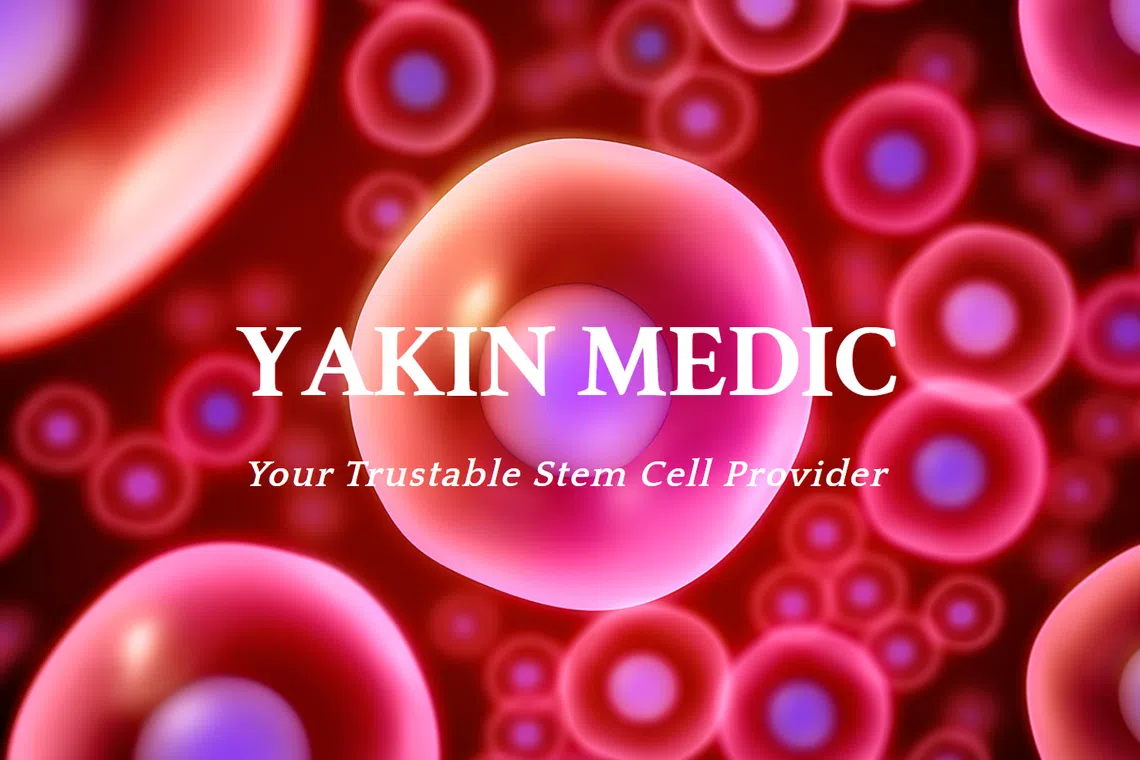 The IPO is targeted for the fourth quarter of 2025 or early 2026.