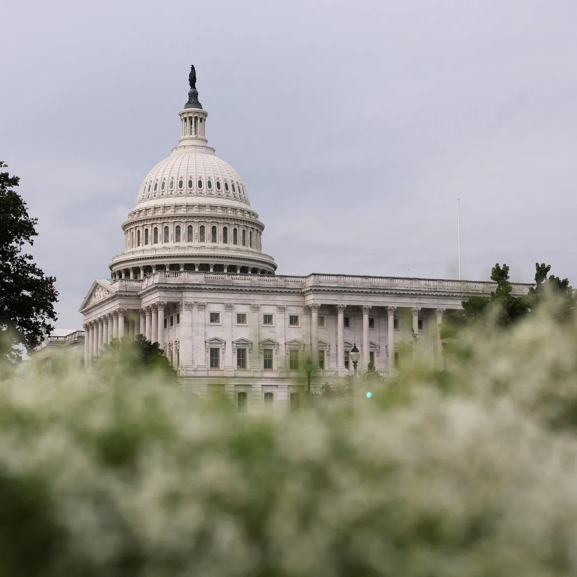 Ex-US officials has urged Congress to probe Trump's Interagency Weaponisation Working Group over potential misuse of security services.
