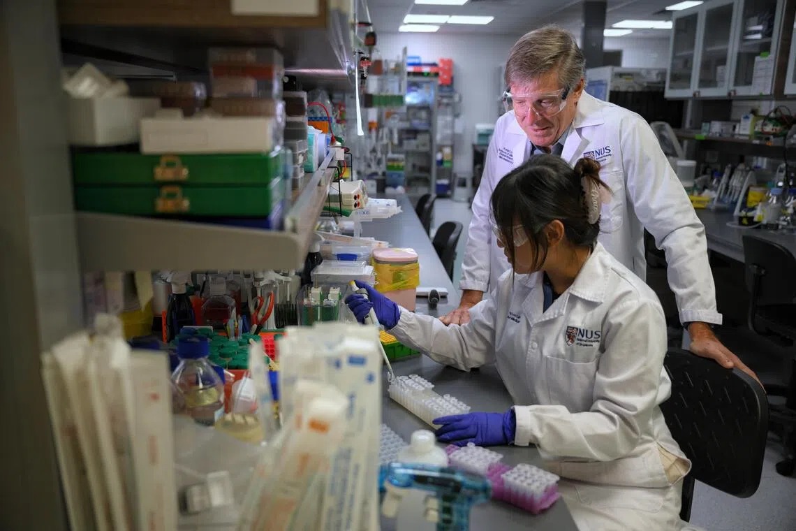 NUHS Centre for Healthy Longevity director Brian Kennedy (left) supervising Grace Chiang, a family medicine consultant with HLRC, as she extracts RNA from tissue samples treated with geroprotective compounds on Aug 27.