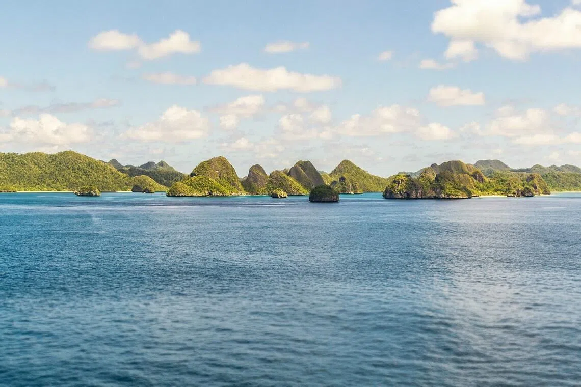 Palau agreed in December to resettle up to 75 deportees in exchange for US$7.5 million (S$9.72 million).