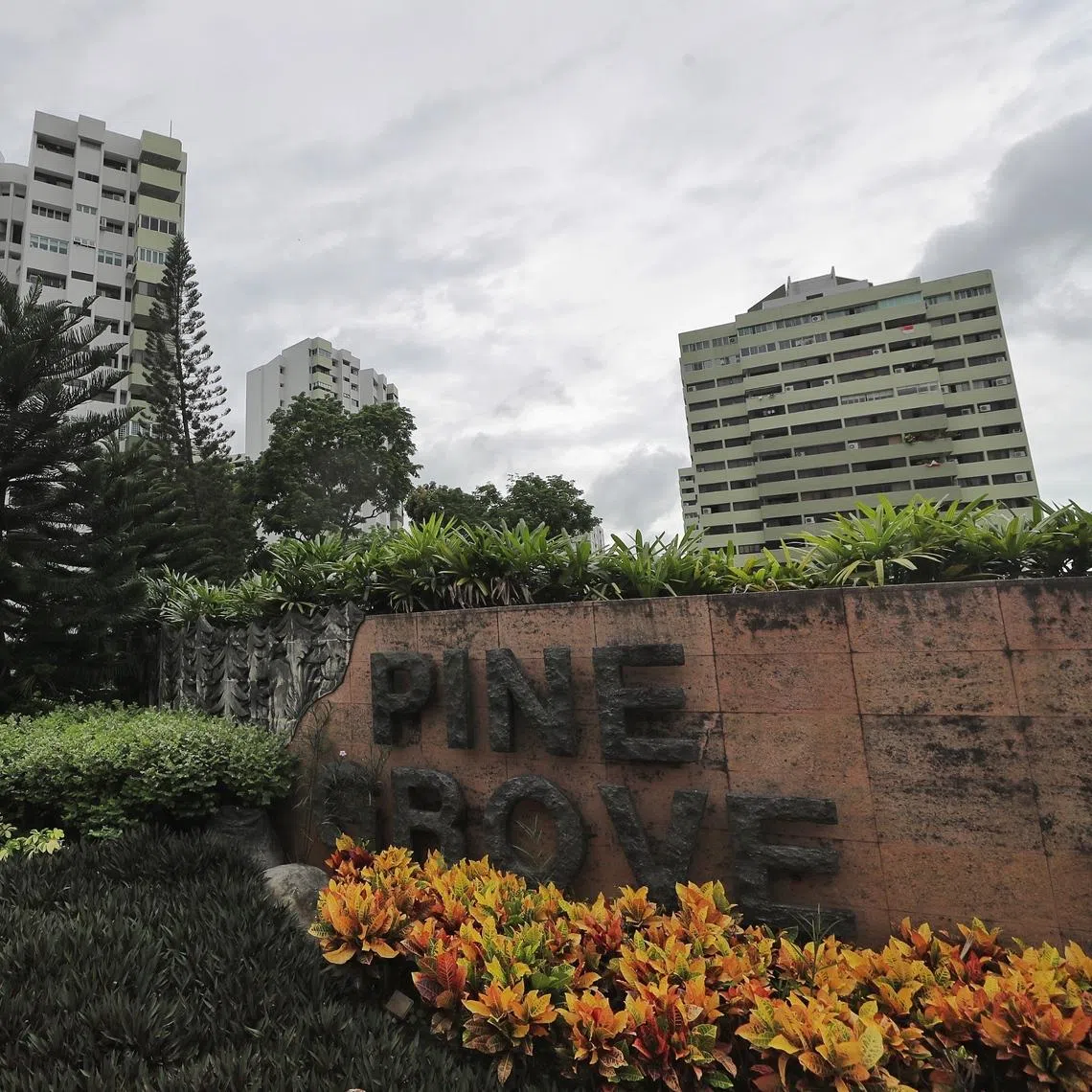 Some owners have told Pine Grove residents to not sign the collective sale agreement, claiming that the current attempt is illegal.