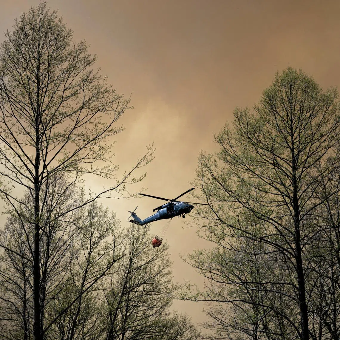 A police helicopter carrying water during efforts to extinguish a forest fire near Jozefow, Poland, on May 6. Hundreds of firefighters battled forest infernos in France, Spain and Portugal on July 5 as temperatures rose again in heatwave-scarred Europe.