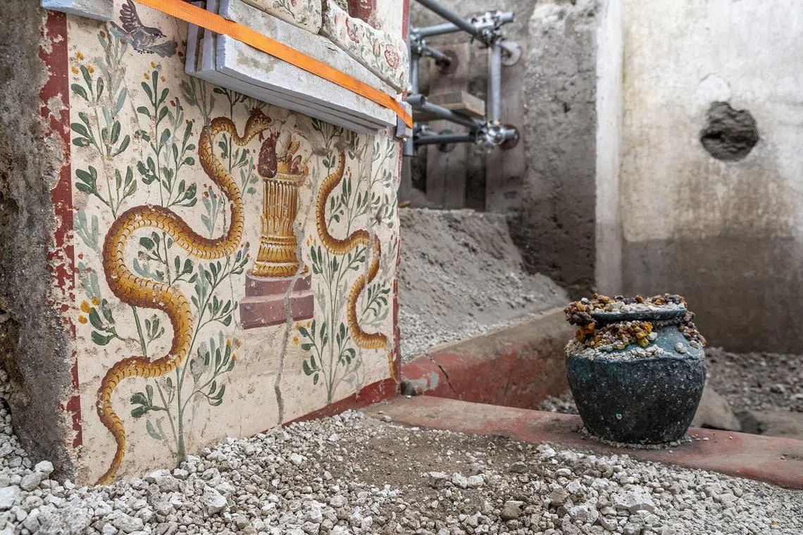 A detail of a richly decorated but uncommonly small house with finely preserved frescoes of mythological scenes is pictured in the archaeological site in Pompeii, Italy, in this handout photo obtained by Reuters on October 24, 2024. Parco Archeologico di Pompei/Handout via REUTERS/File Photo