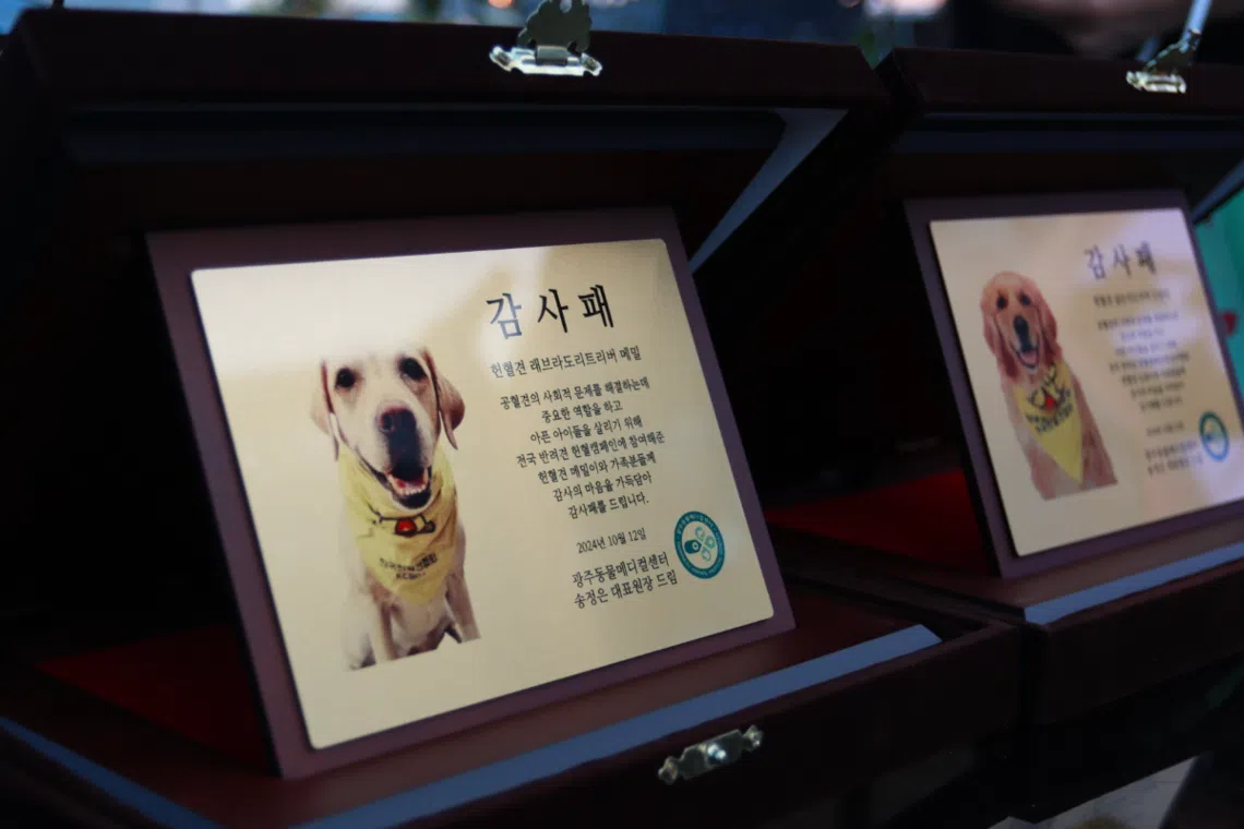 Plaques of appreciation for canine blood donors at Gwangju Animal Medical Center.