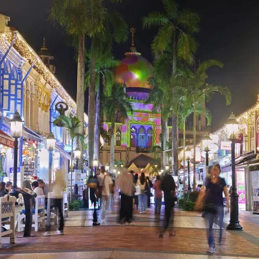 The facade of the Sultan Mosque is lit up during a light show at the official opening of Gemilang Kampong Gelam on Feb 21, 2025. 