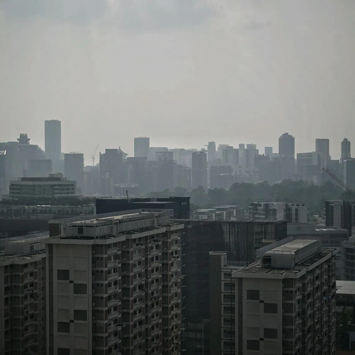 image-alt