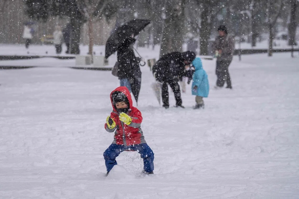 A child plays with snow at a park in Tokyo.