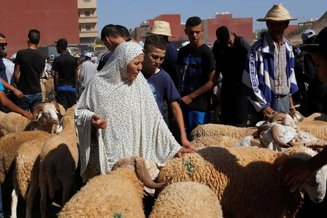 FILE PHOTO: A woman buys a sheep at a livestock market, ahead of the Eid al-Adha festival, in the Moroccan city of Oujda September 11, 2016. REUTERS/Youssef Boudlal/File Photo