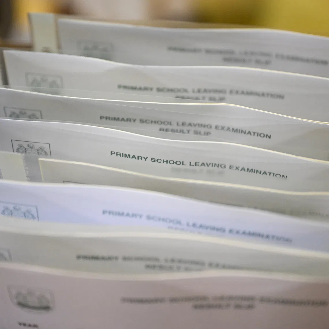 Pupils will receive details on collection arrangements from their respective schools. 