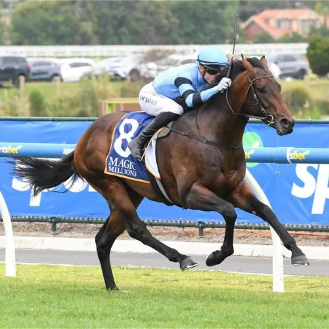 Unit Five - Unit Five


PHOTO:  RACING PHOTOS