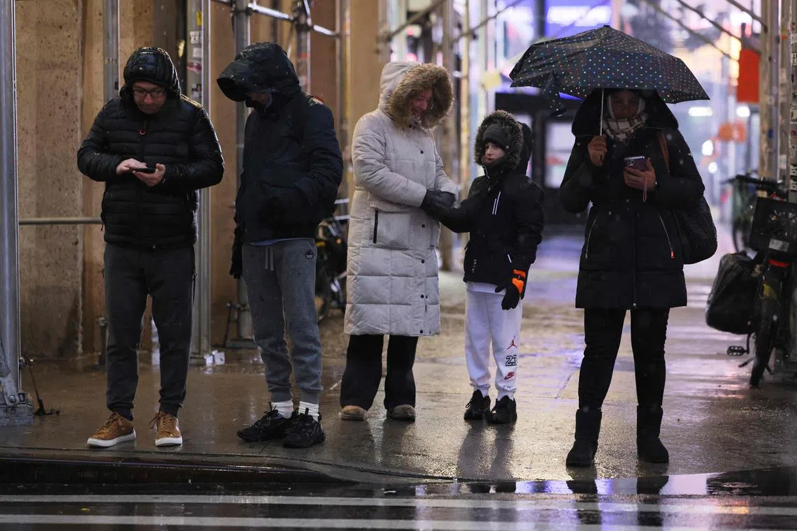 A gene sequence acquired from retroviruses – viruses that invade their host’s DNA – is crucial for myelin production. That code is now found in modern mammals, such as humans, amphibians and fish.