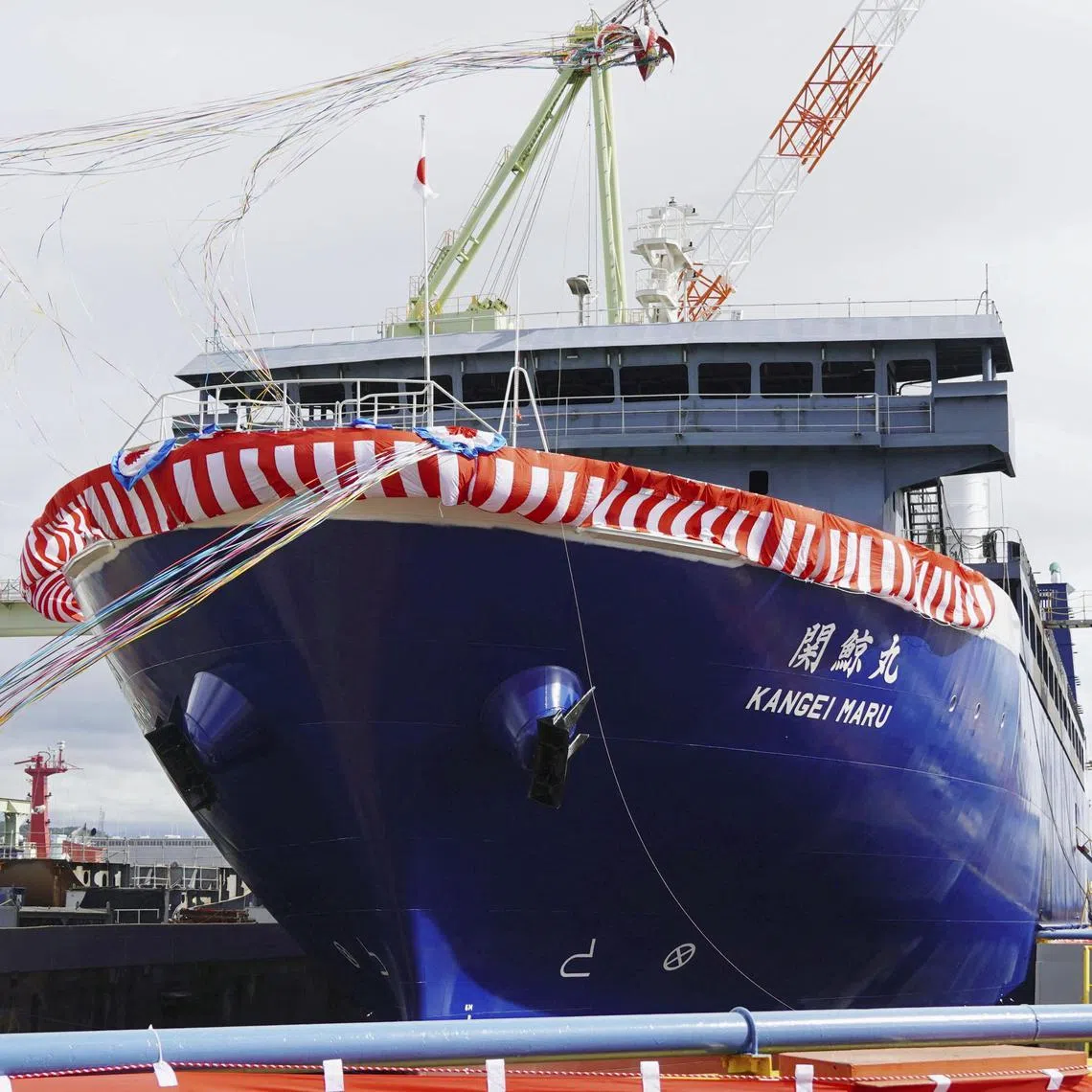 FILE PHOTO: The whaling mother ship Kangei Maru is seen during its launch ceremony in Shimonoseki, western Japan August 31, 2023, in this photo taken by Kyodo. Mandatory credit Kyodo via REUTERS/File Photo