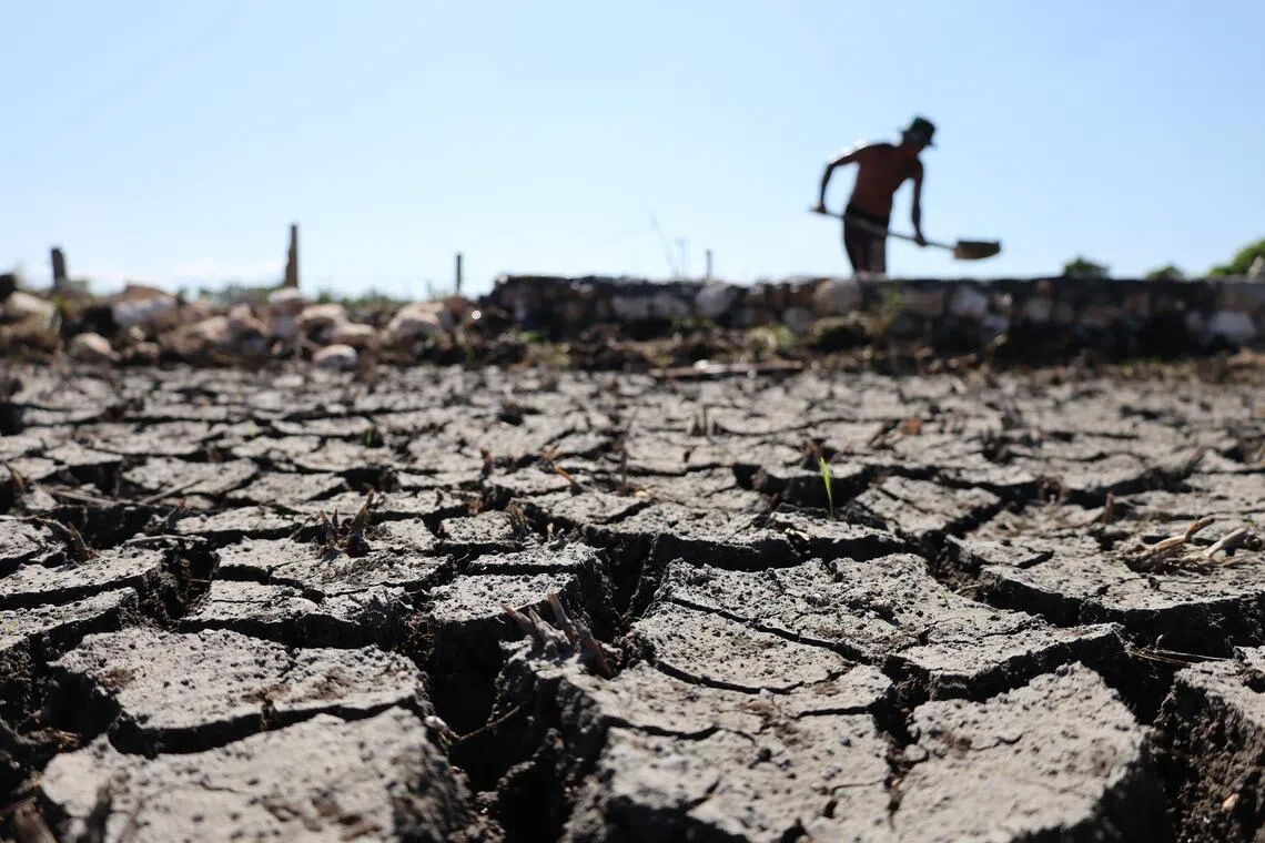 Cracked rice fields caused by prolonged drought in Aceh Province, Indonesia. The El Nino phenomenon is expected to reach strong intensity through to January 2027.
