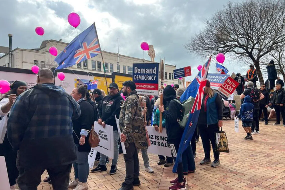 Anti co-governance protesters march on New Zealand's parliament in Wellington, New Zealand, September 28, 2023. REUTERS/Lucy Craymer