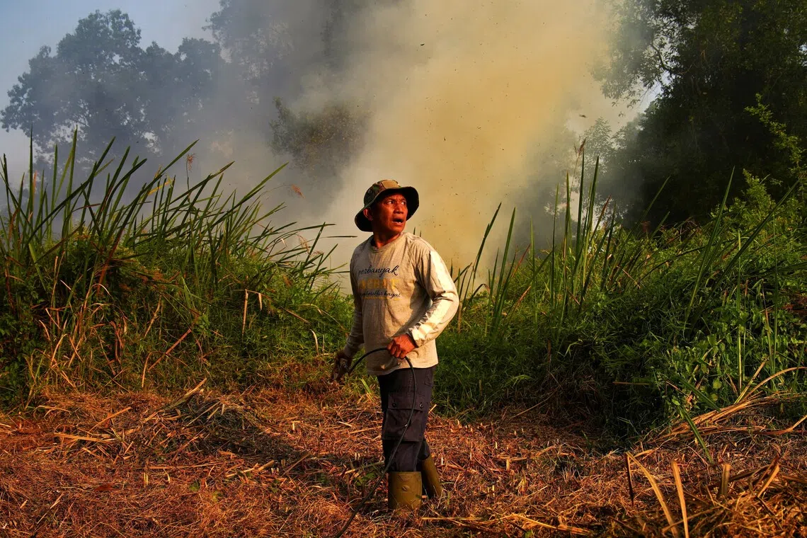 El Nino’s wrath: Brace yourself for impact