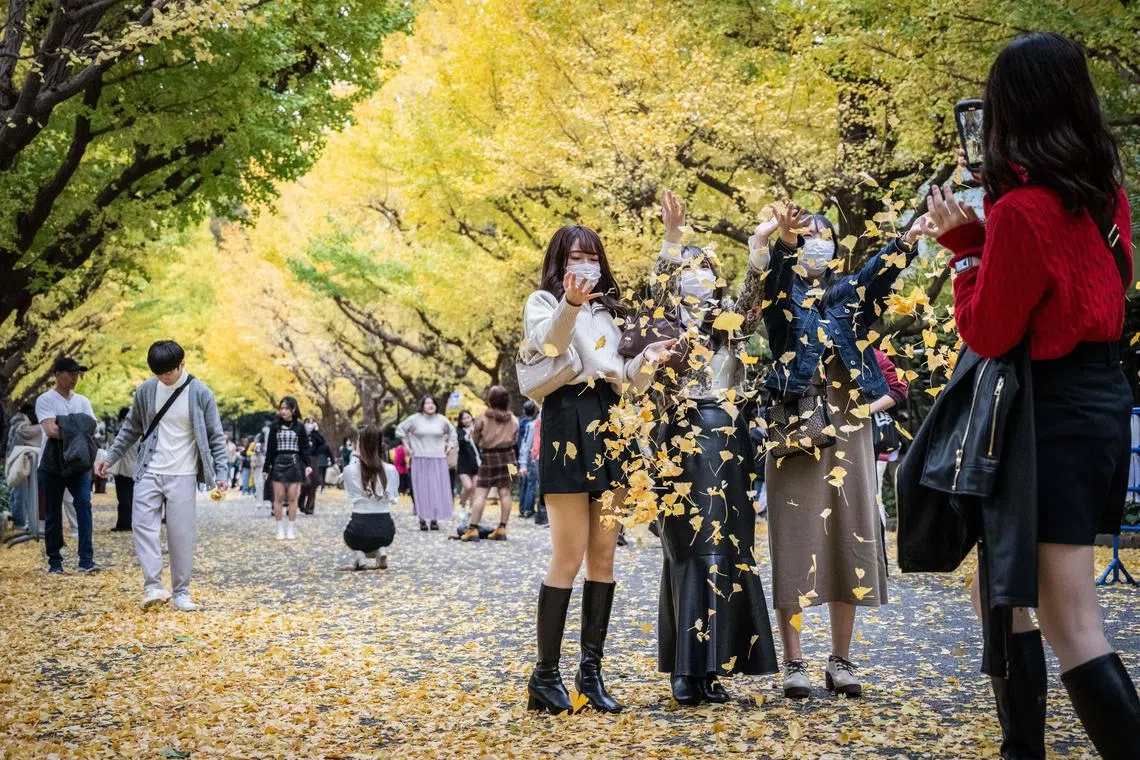 People have their photographs taken as they throw fallen leaves in autumn colours in Tokyo on November 13, 2022..